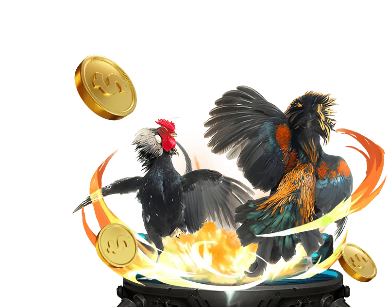 Mẹo đá gà hiệu quả từ chuyên gia game bl555